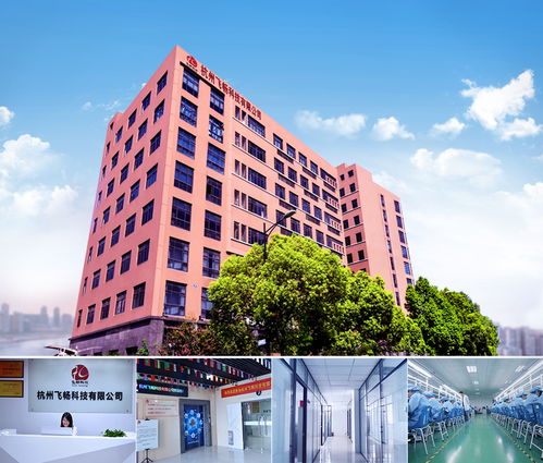 Cisco核心交換機與雙路由器連接配置及工業(yè)交換機品牌推薦